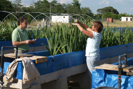 Urban River Lab