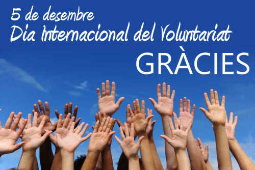 5 de desembre, Dia Internacional del Voluntariat