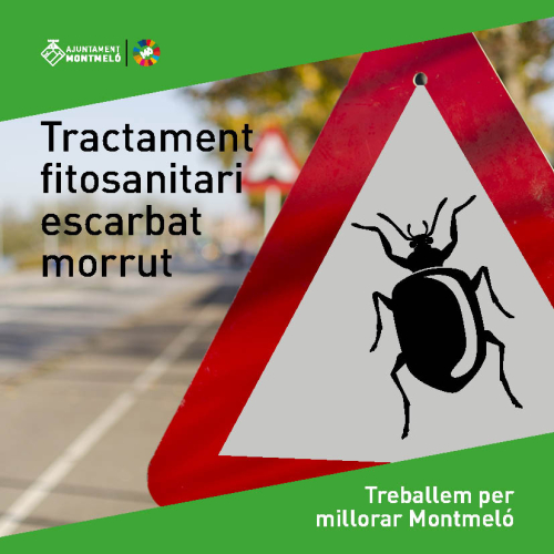 Tractament fitosanitari escarbat morrut