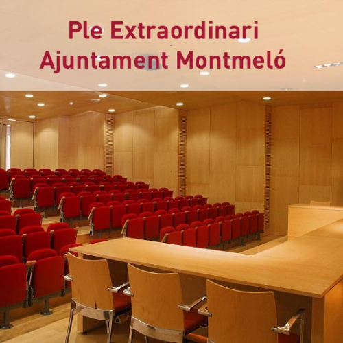 Ple Extraordinari