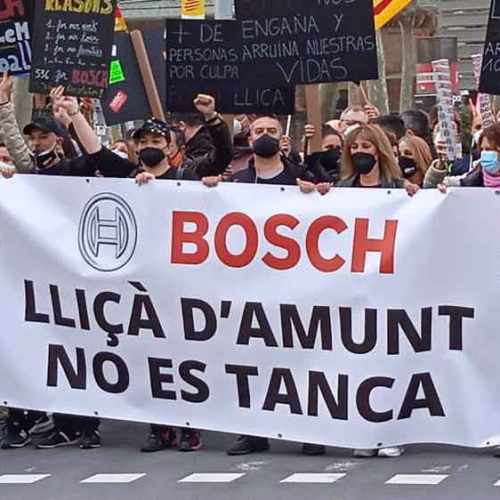 Bosch a Lliçà d’Amunt