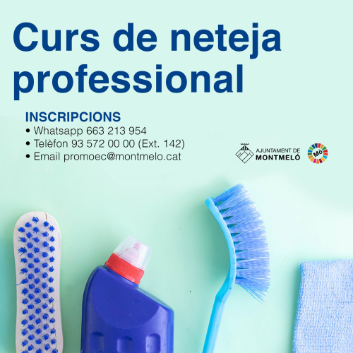 Curs de neteja professional