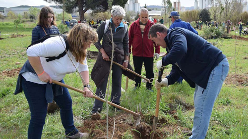 Plantada a Can Cabanyes