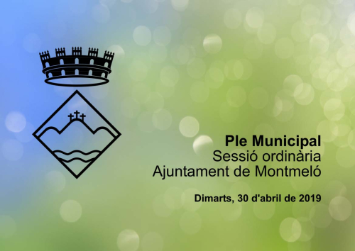 Ple Ordinari 30 d'abril de 2019