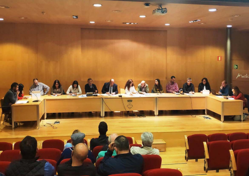 Ple ordinari del 29 d'octubre de 2019