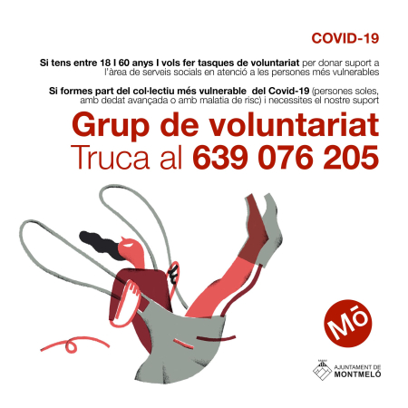 Grup de Voluntariat