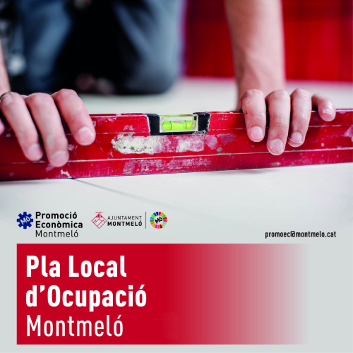 Pla Local d'Ocupació 2022